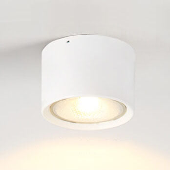 Nordic Cylinder Spotlight LED Flush Mount Ceiling Light