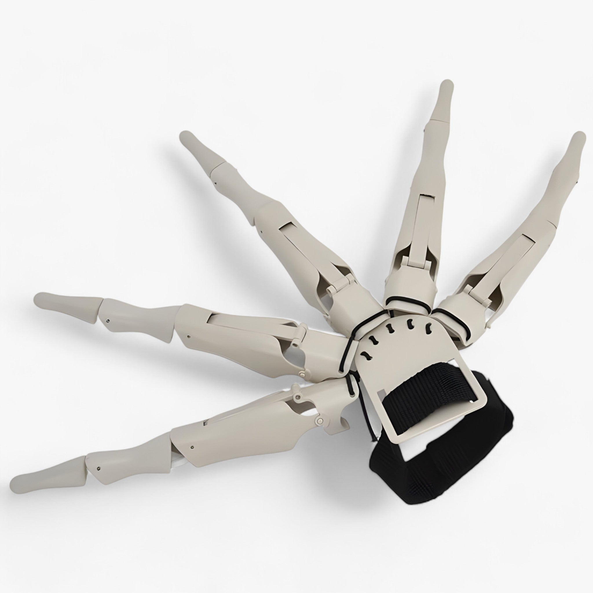 Costume Gloves : Gelede Skeletvingers - Realistische Horrorhandschoen - Zwarte Spinklauwen in Witte botklauwen van Pantino