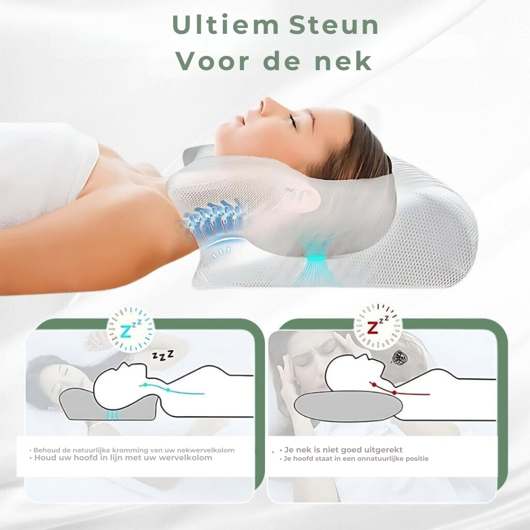Home Decor : DreamAlign Orthopedic Contour Pillow - Neck & Shoulder Support in van Vandaliamo