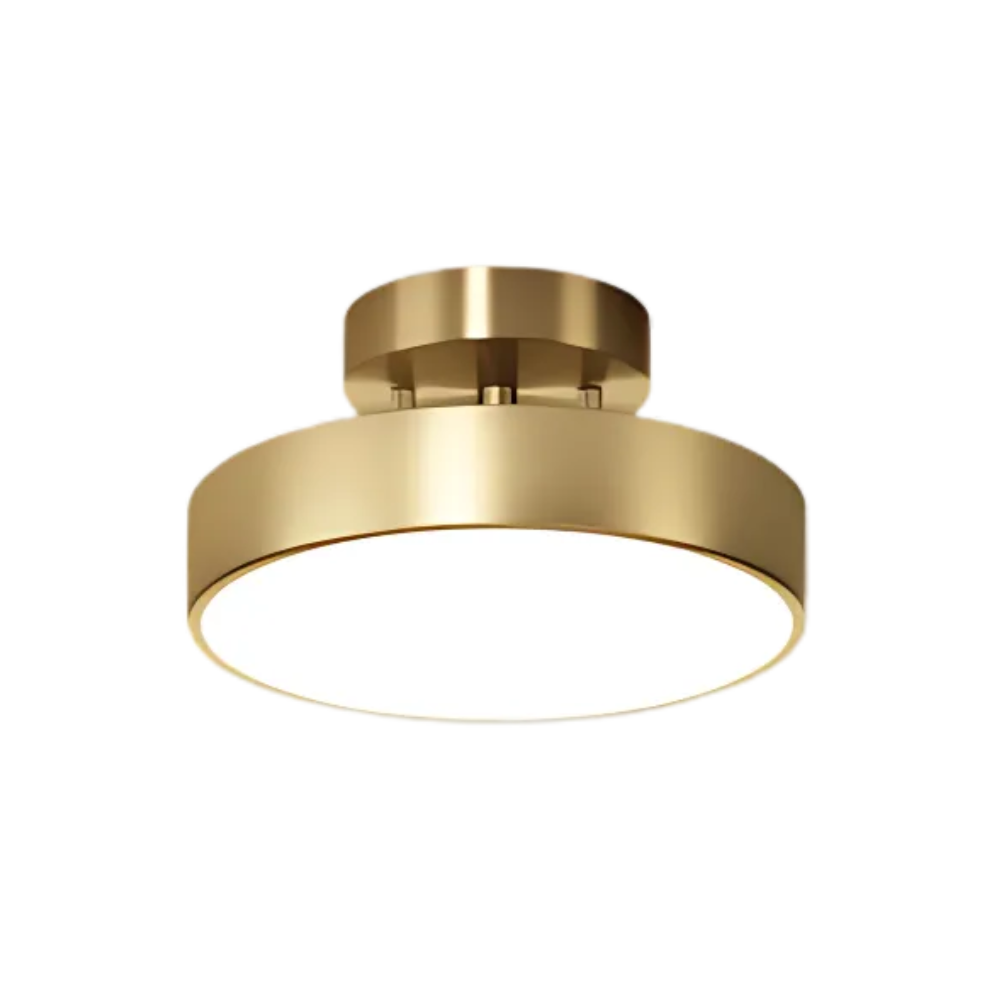 Round Flush Mount Ceiling Light