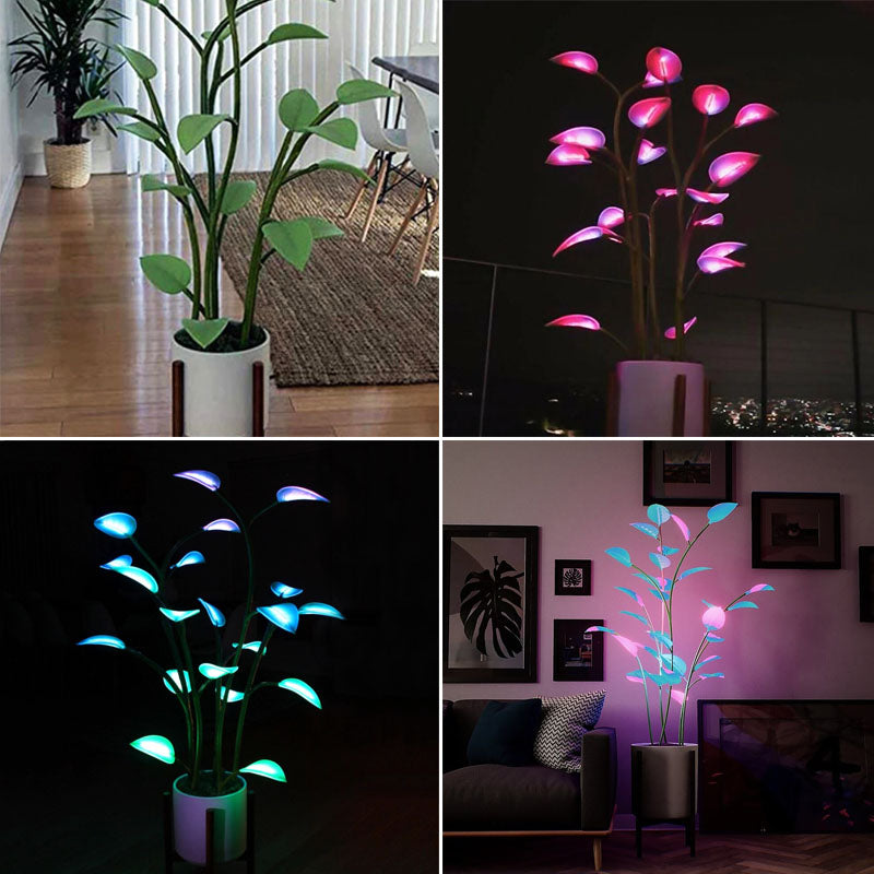 Home & Garden : Magic LED Plant-Shaped Lamp - Indoor Luminous Home Decoration in van Vandaliamo