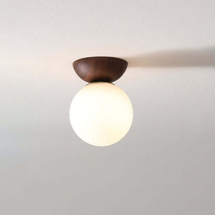 Globe LED Ceiling Light - Flush Mount