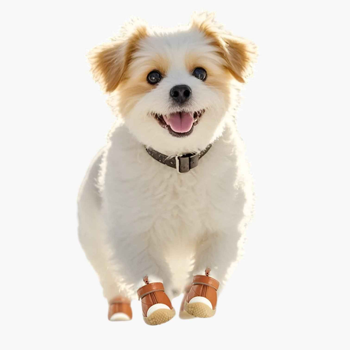 other : Anti-slip Dog Boots - Protection and Grip in All Weather in van Vandaliamo