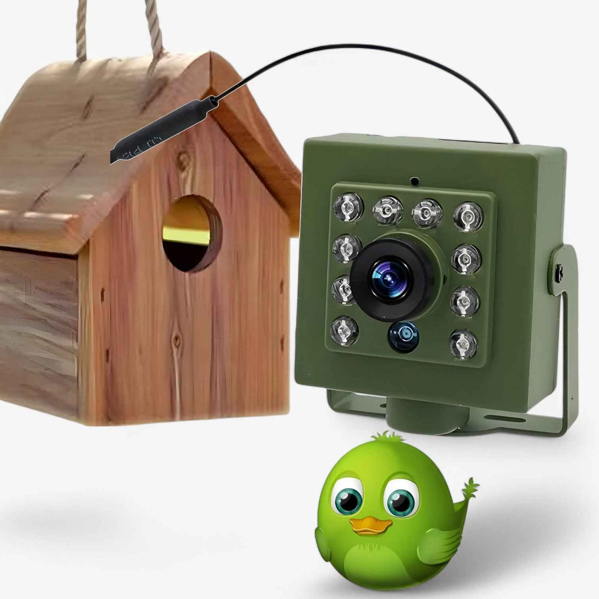 gadgets : Live Birdwatching | WiFi Nest Camera with Night Vision and Audio in van Vandaliamo