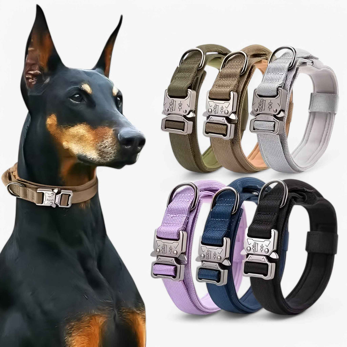 other : Durable Tactical Dog Collar Set in van Vandaliamo
