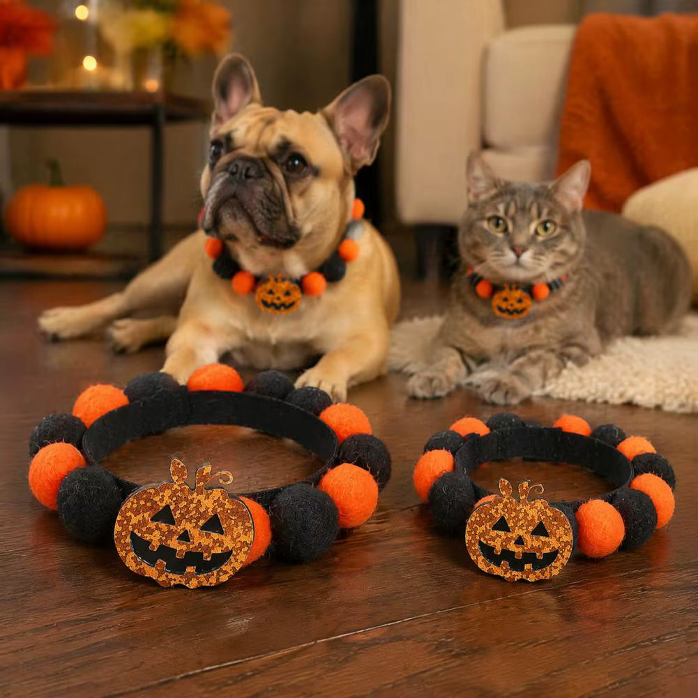 Gifts – Seasonal – Halloween : Halloween Pumpkin Skull Pet Collar in van Vandaliamo
