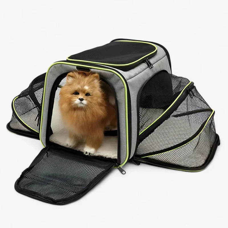 other : Breathable and Foldable Pet Backpack in Green van Vandaliamo