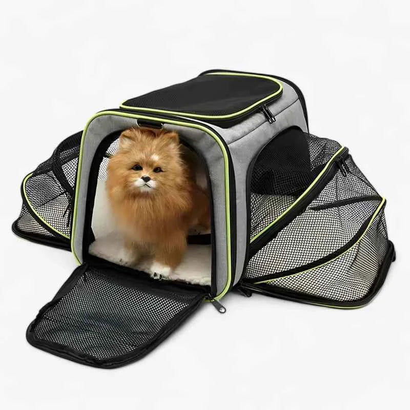 other : Breathable and Foldable Pet Backpack in Green van Vandaliamo
