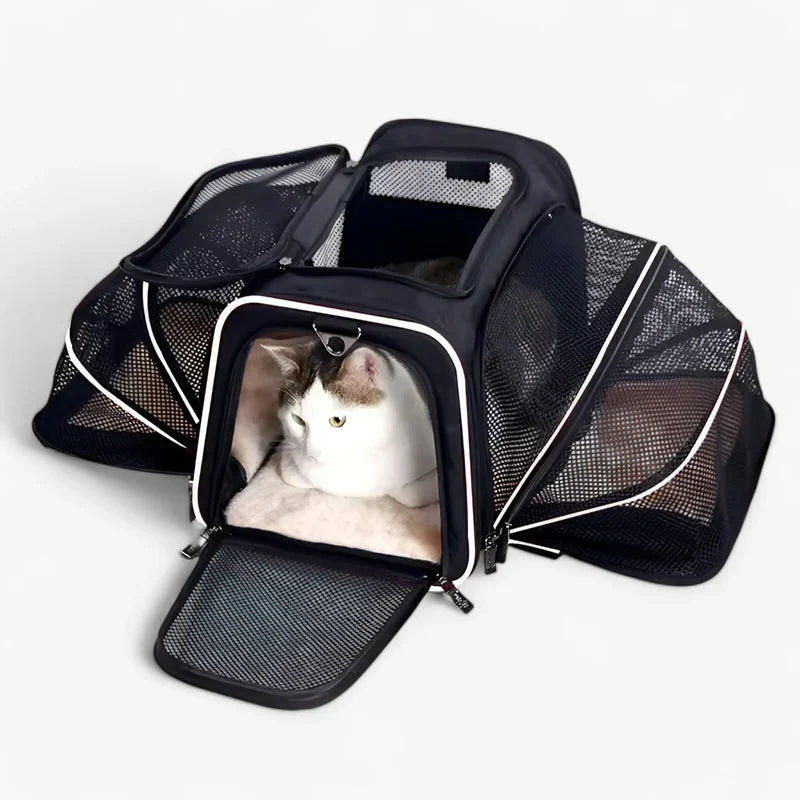 other : Breathable and Foldable Pet Backpack in White van Vandaliamo