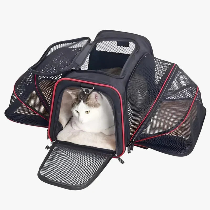 other : Breathable and Foldable Pet Backpack in Red van Vandaliamo