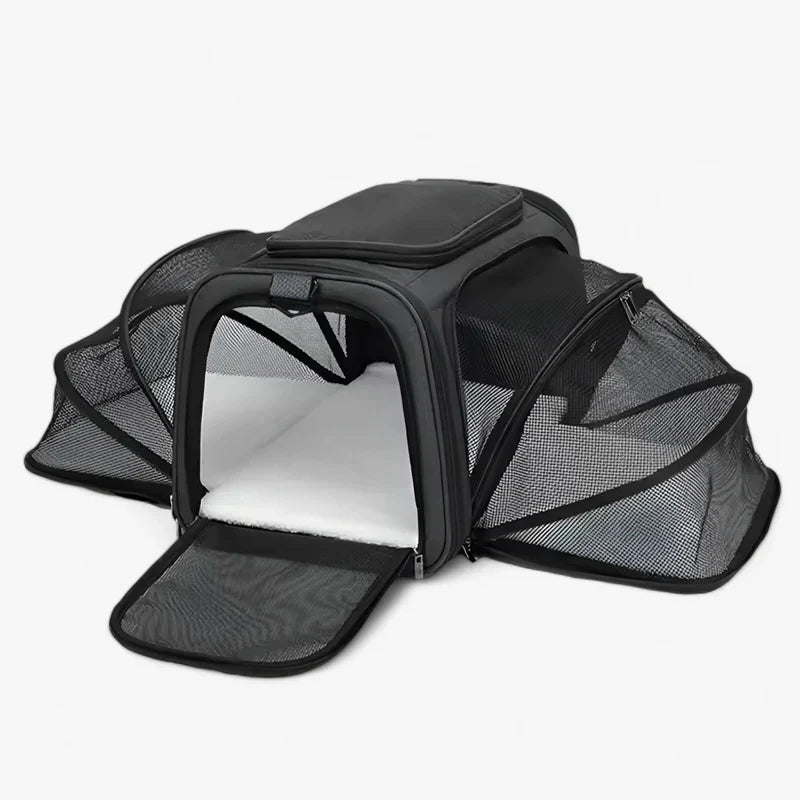 other : Breathable and Foldable Pet Backpack in Black van Vandaliamo