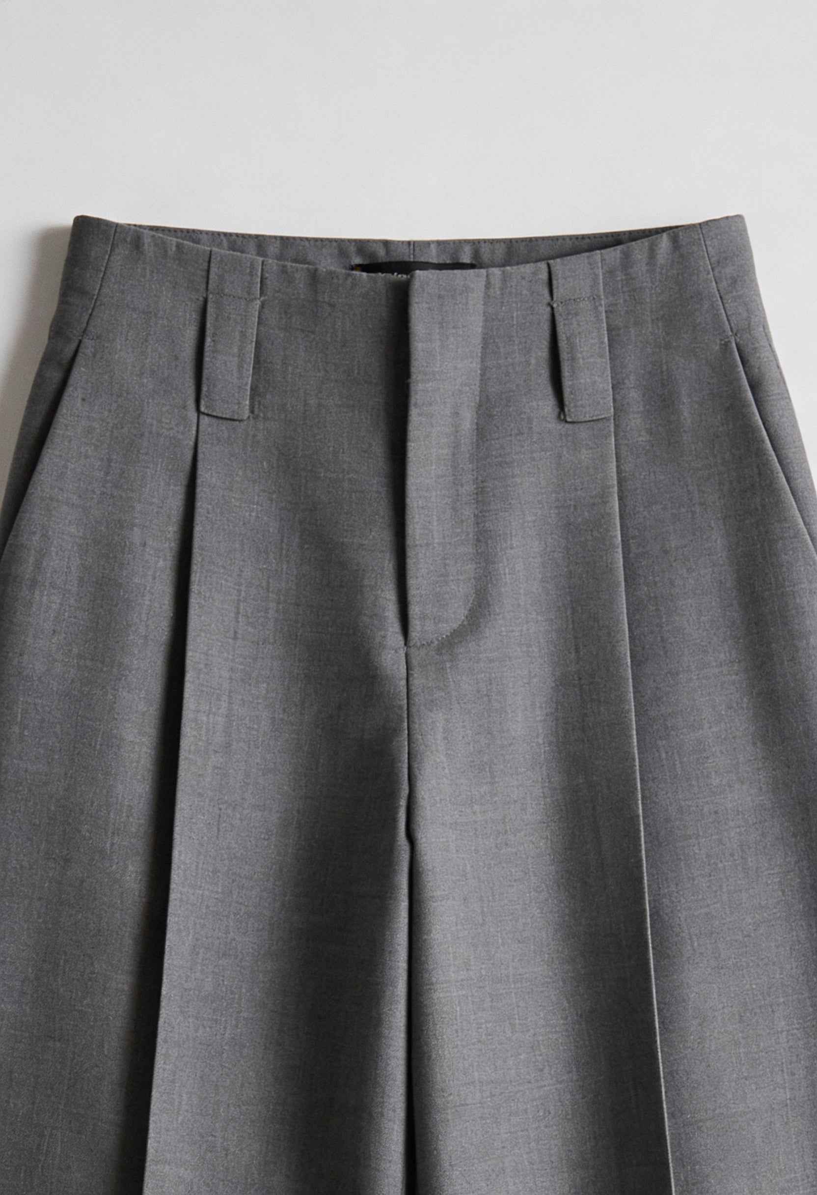 Pants : Women's High-Waisted Gray Pleated Pants in van Vanda Liamo