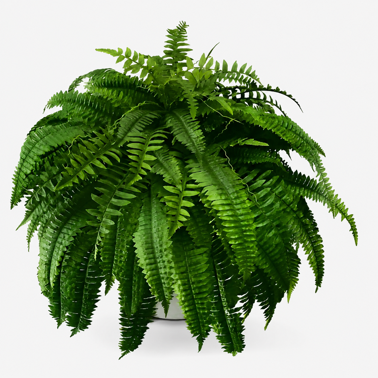 UV-Resistant Lifelike Artificial Boston Fern