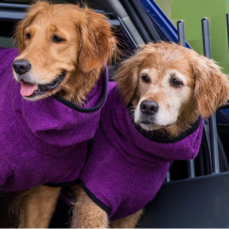 other : Pet Bathrobe in van Vandaliamo