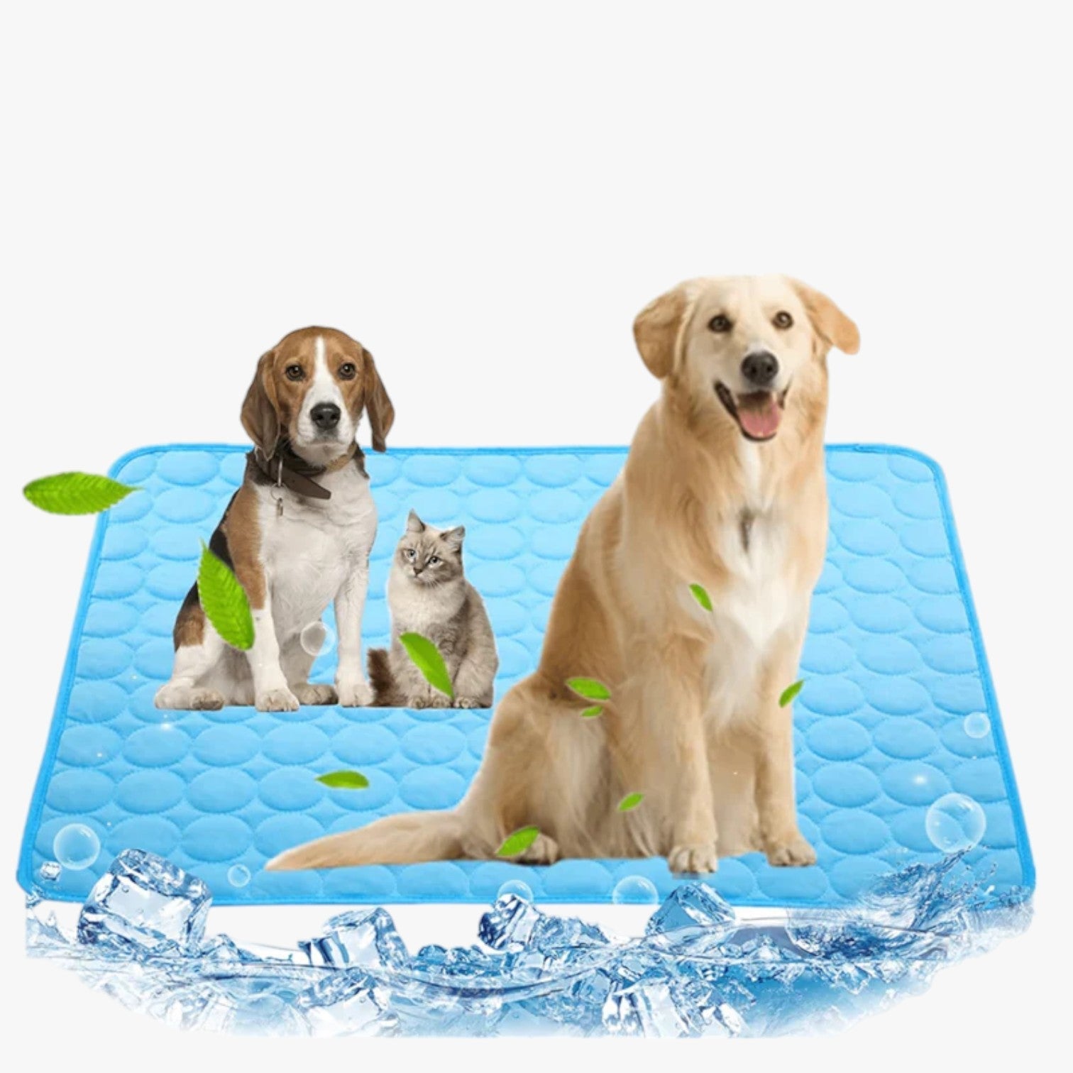 other : Refreshing mat for dogs in van Vandaliamo