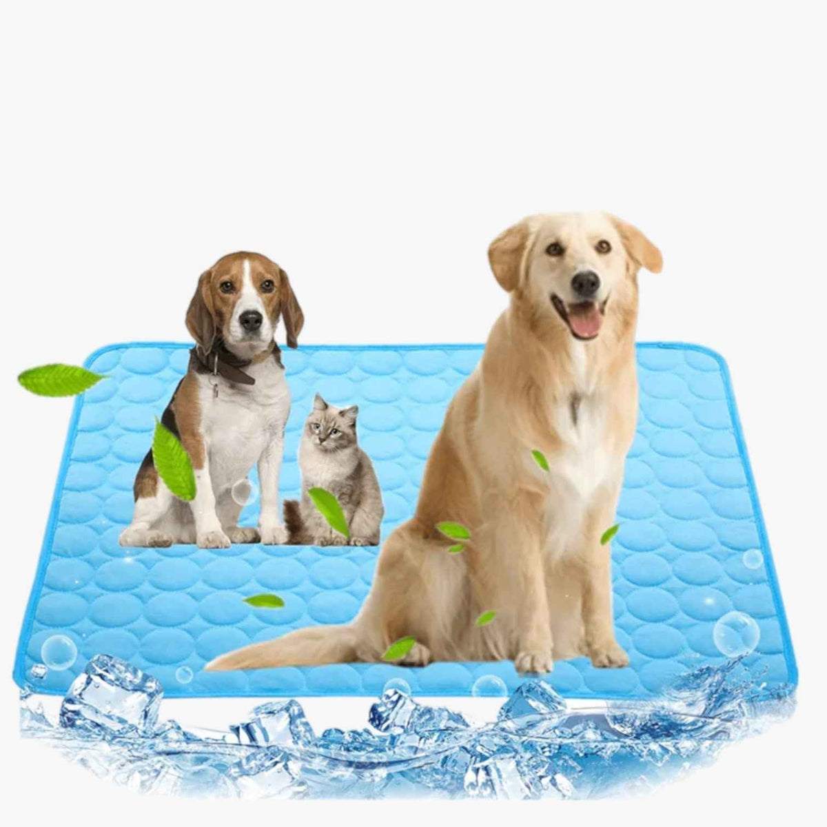 other : Refreshing mat for dogs in van Vandaliamo