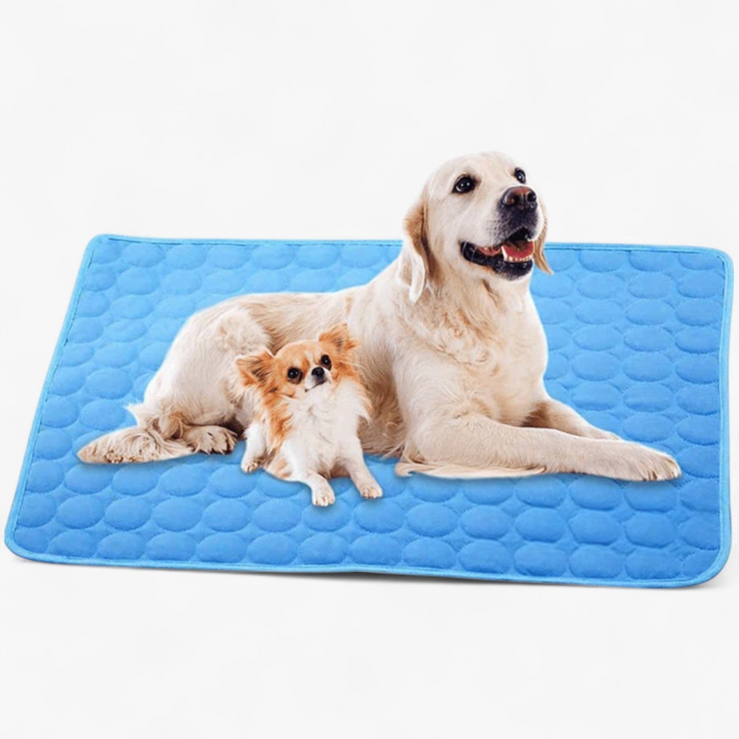 other : Refreshing mat for dogs in Blue van Vandaliamo