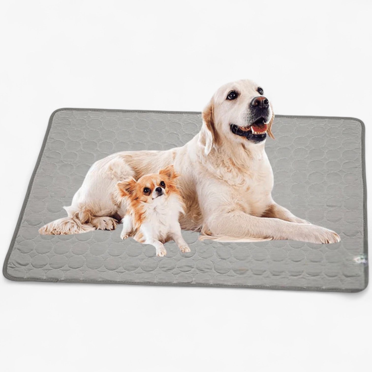 other : Refreshing mat for dogs in Grey van Vandaliamo