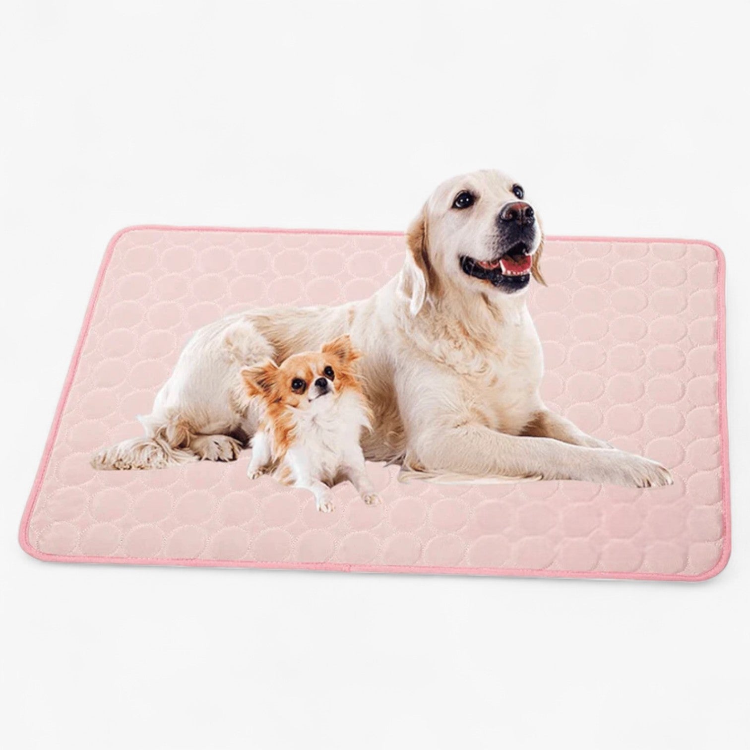 other : Refreshing mat for dogs in Pink van Vandaliamo