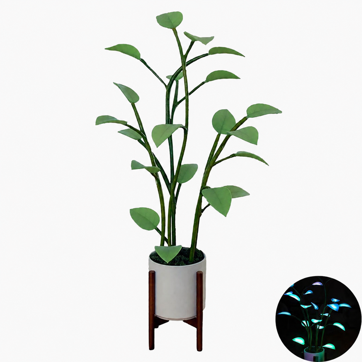 Home & Garden : Magic LED Plant-Shaped Lamp - Indoor Luminous Home Decoration in Default Title van Vandaliamo