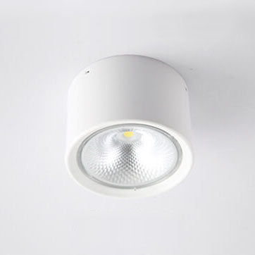 Nordic Cylinder Spotlight LED Flush Mount Ceiling Light