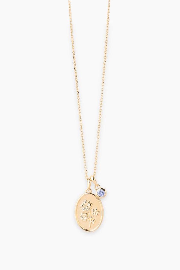 Necklace : Birth Month Necklace in December van Vandaliamo