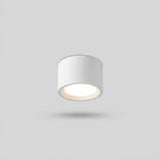 Nordic Cylinder Spotlight LED Flush Mount Ceiling Light
