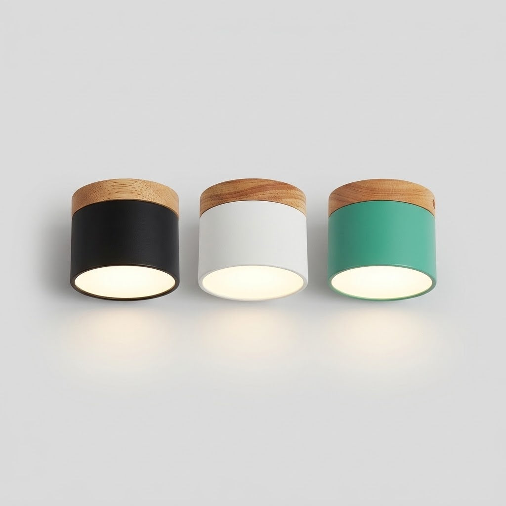 Scandinavian LED Flush Mount Ceiling Light