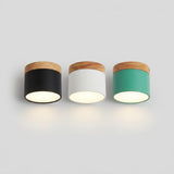 Scandinavian LED Flush Mount Ceiling Light