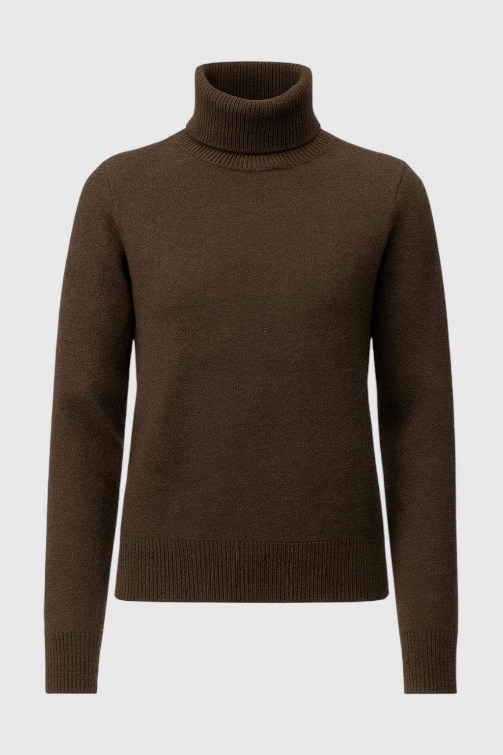 Women's Sweaters : Brown Fleece Lined Thermal Turtleneck Sweater in Brown van Vanda Liamo