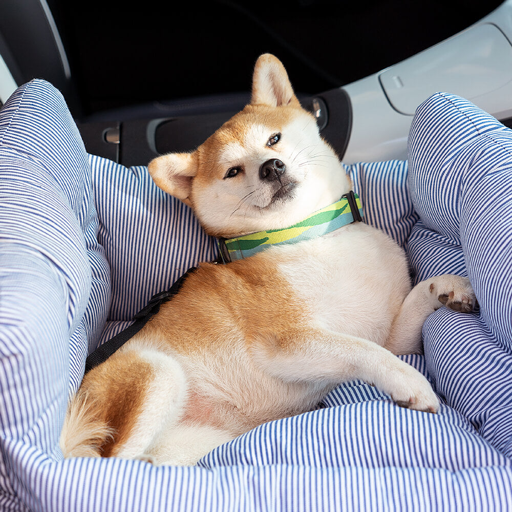 other : Dog car bed in van Vandaliamo