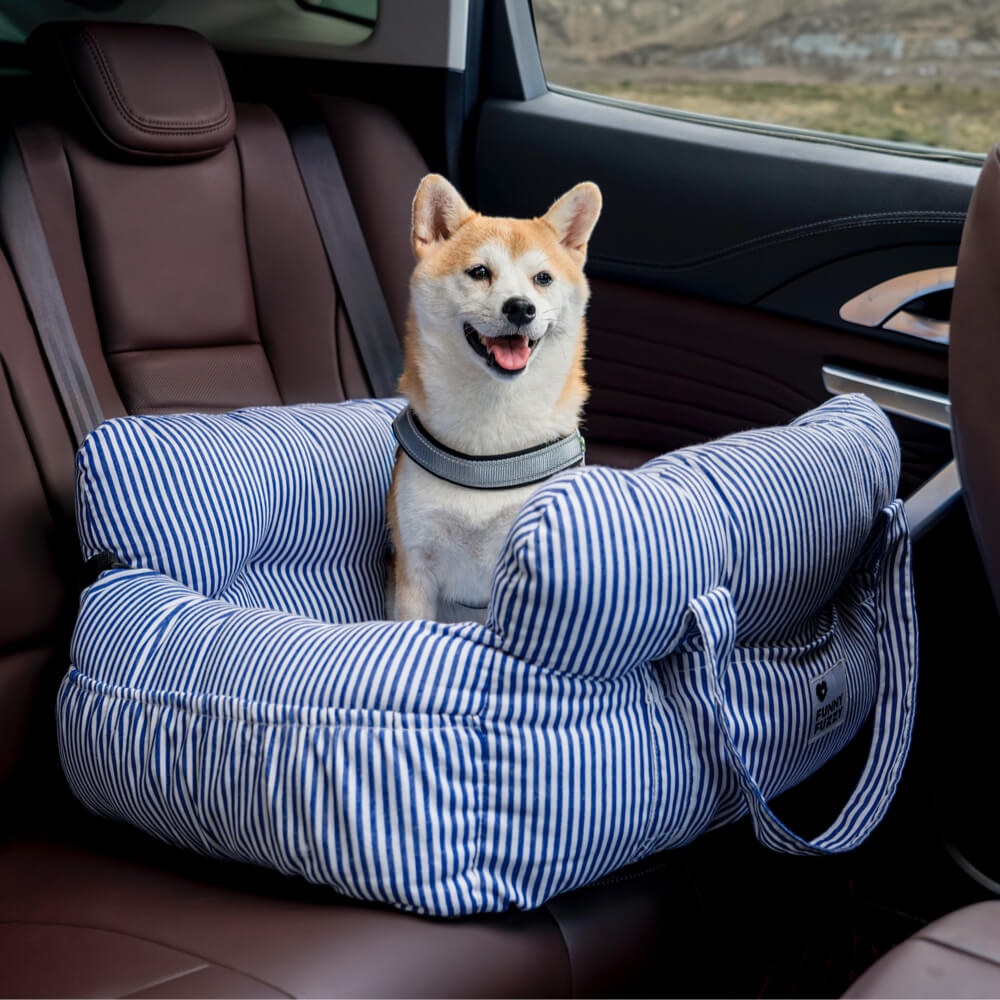 other : Dog car bed in van Vandaliamo