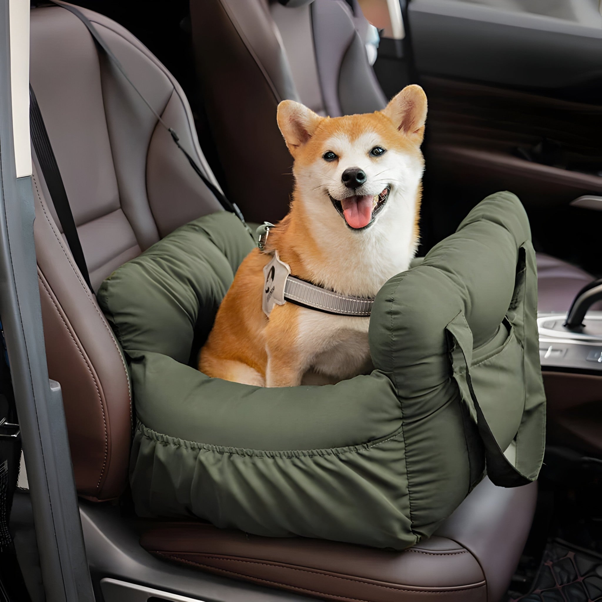 other : Dog car bed in van Vandaliamo