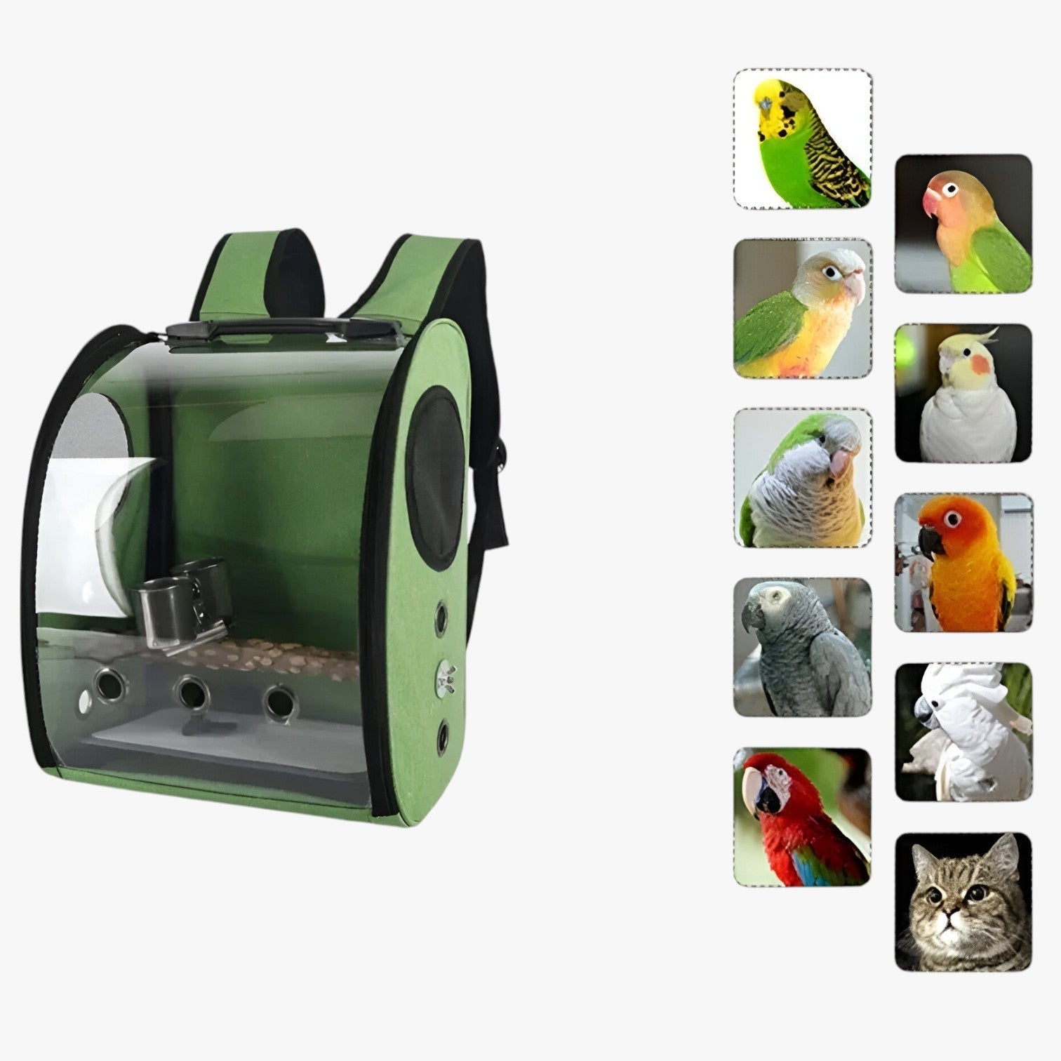 house & garden : Spacious Birdcage - Comfortable Travel for Your Bird in van Vandaliamo
