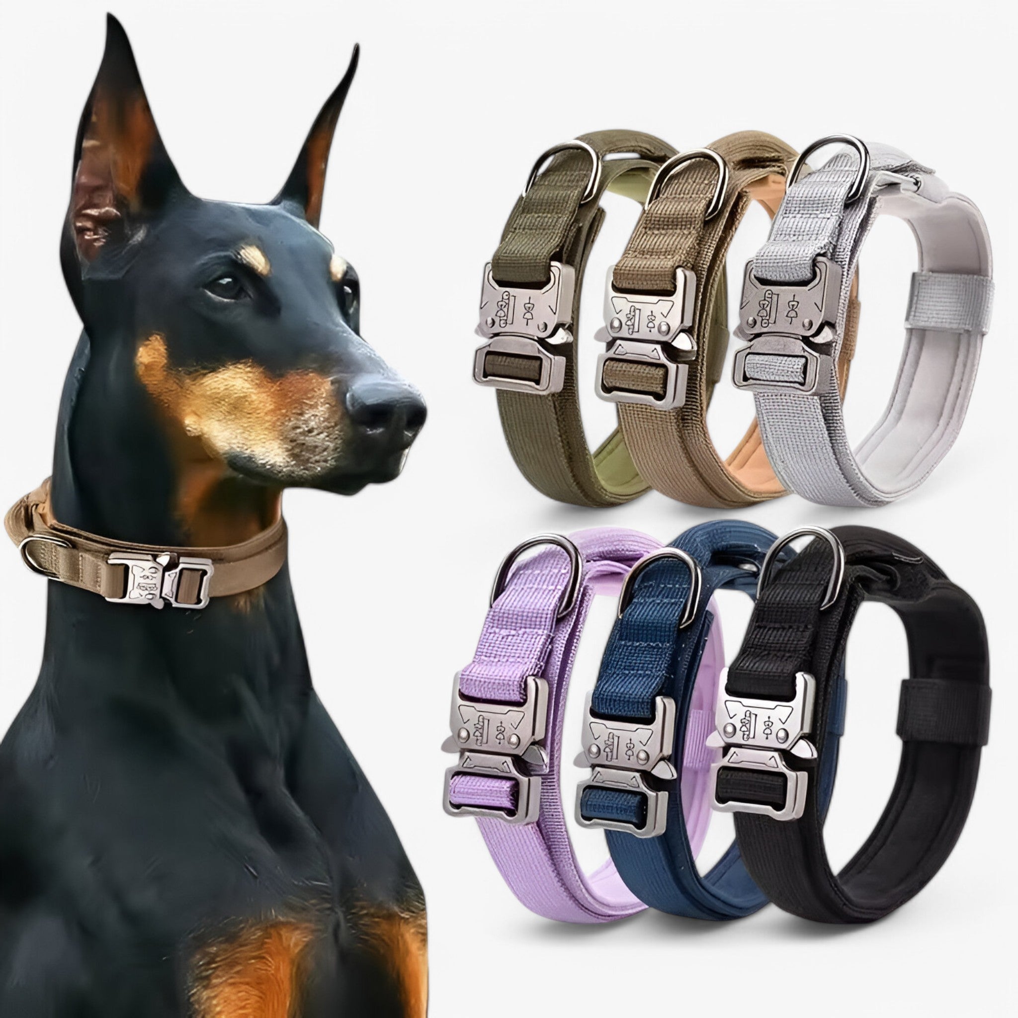 other : Durable Tactical Dog Collar Set in van Vandaliamo