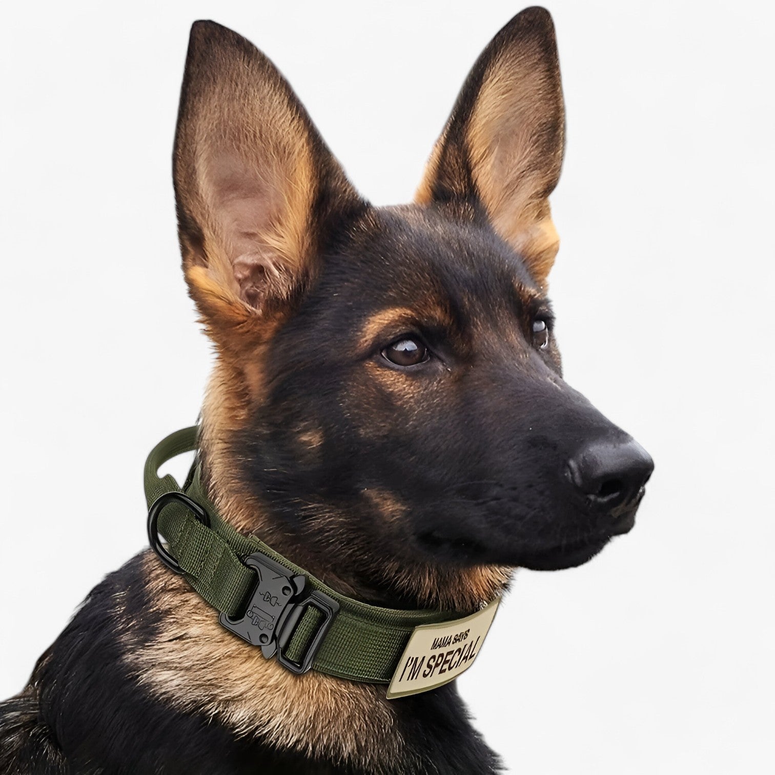 other : Tactical Dog Collar with Handle for Training in van Vandaliamo