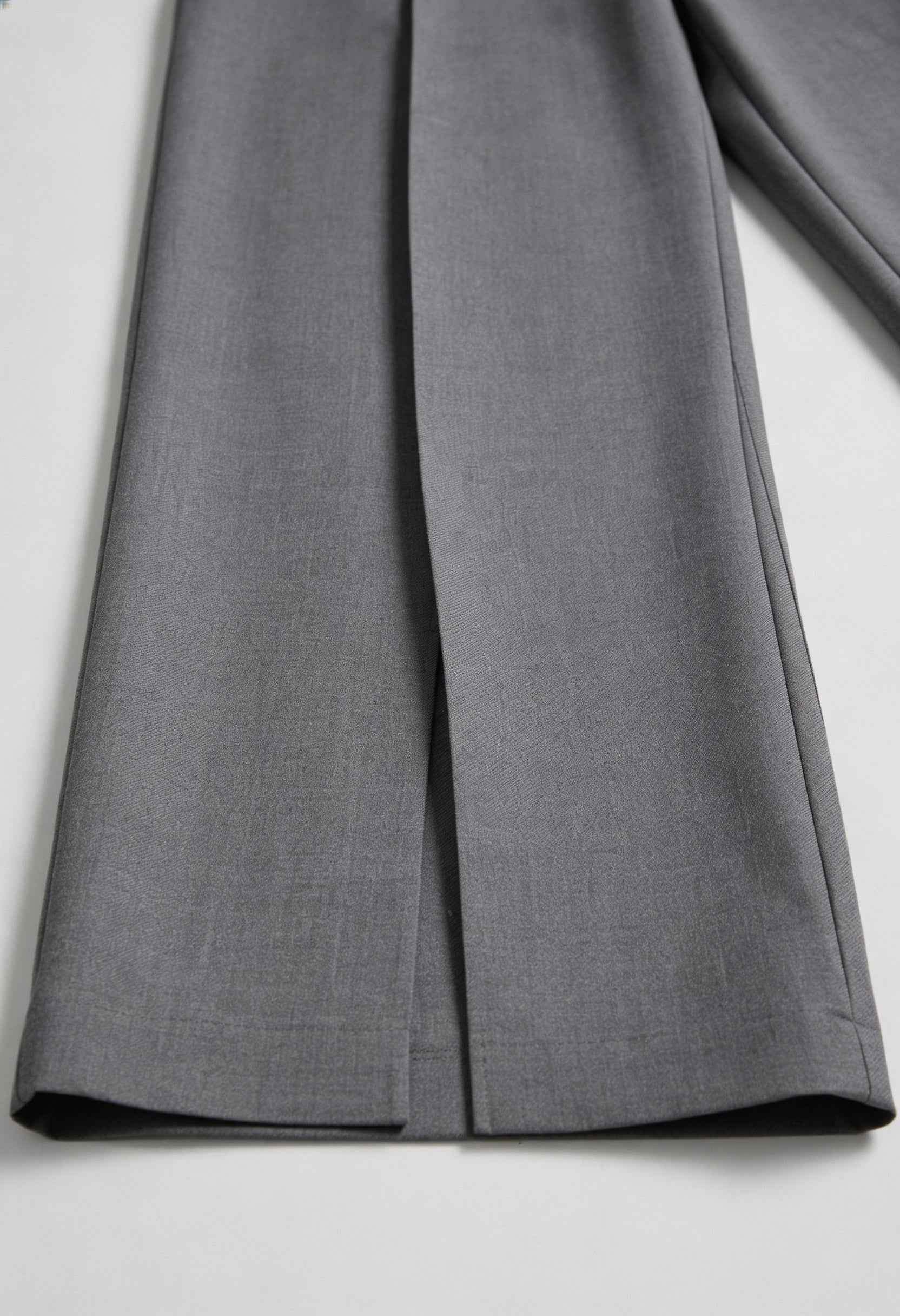 Pants : Women's High-Waisted Gray Pleated Pants in van Vanda Liamo