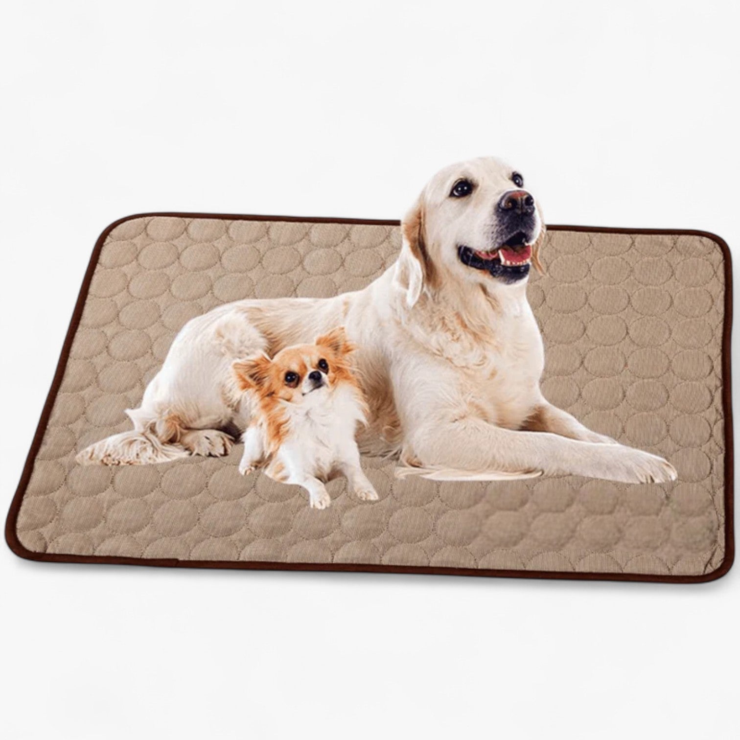 other : Refreshing mat for dogs in Coffee van Vandaliamo